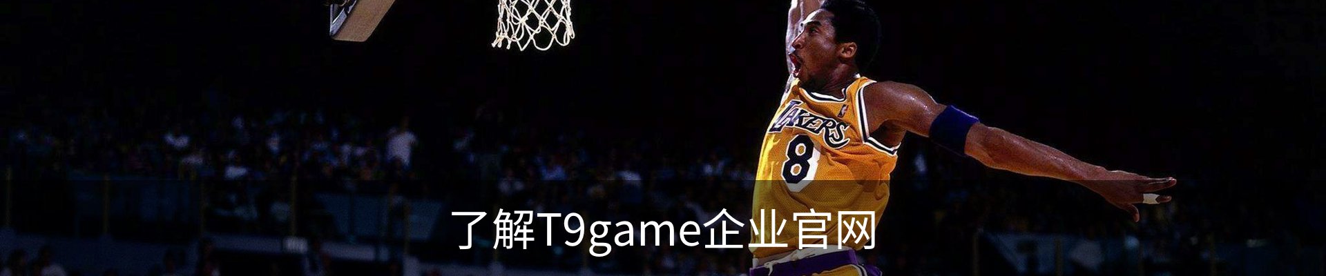 了解T9game企业官网