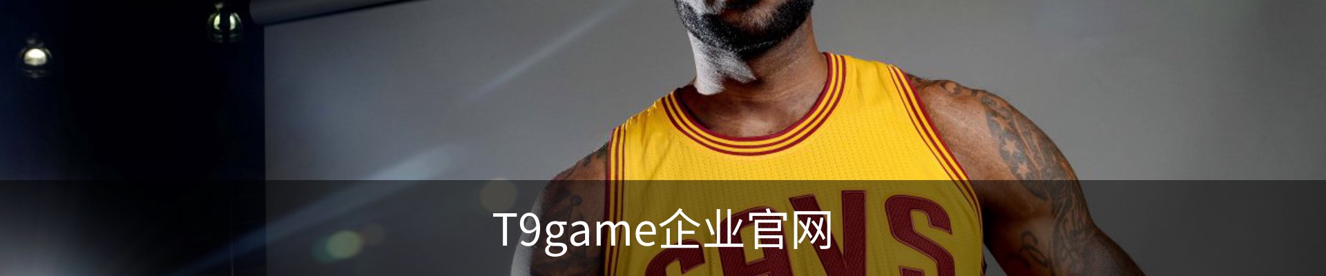T9game企业官网